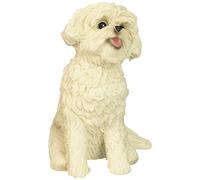 Sandicast - Scultura Bichon Frise, formato originale, Multicolore, S Size