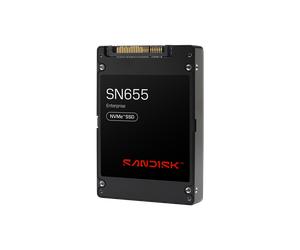 SanDisk 3.84TB SN655 NVMe - - 0TS2461