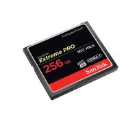 SanDisk Extreme Pro 256 GB 160 MB/s CompactFlash Memory Card - Black/Gold/Red, SDCFXPS-256G-X46
