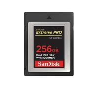 SanDisk SDCFE-256G-GN4NN memoria flash 256 GB CFexpress - Nouvo