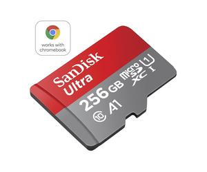 SanDisk SDSQUAC-256G-GN6FA 256 GB MicroSDXC UHS-I 150 MB/s A prova di magnete