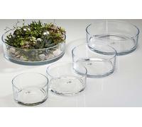 Sandra Rich Schale Cilindro Decorativa In Vetro Trasparente Ø19 cm Ø25 cm