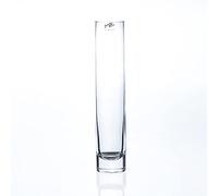 Sandra Rich SOLIFLEUR - Vaso da fiori in vetro, 30 cm, Ø 5 cm, rotondo, trasparente