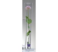 Sandra Rich Vaso in vetro Cielo trasparente, 60 cm, Ø 11 cm, taglio caldo