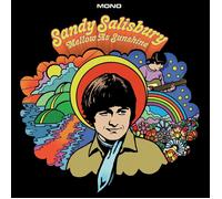 Sandy Salisbury Mellow As Sunshine (CD) Album