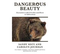 Sandy Sisti Carolyn Jourdan Dangerous Beauty (Tascabile)