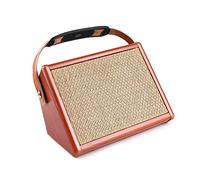 Sanfoelek AC-15 Amplificatore portatile per chitarra acustica da 15 W, altoparlante BT con ingresso microfono, supporta bassi e acuti, effetto riverbero, batteria integrata