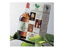 Sangalli Betula Pubescens 100ml Mg