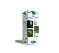 Sangalli Betula Pubescens Gemmoderivato 100ml Mg