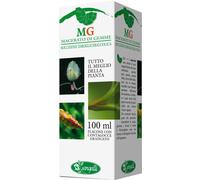 sangalli Fico 100ml mg