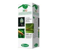 Sangalli Laboratorio Erboristico QUERCIA MACERATO GLICERICO 100 ML