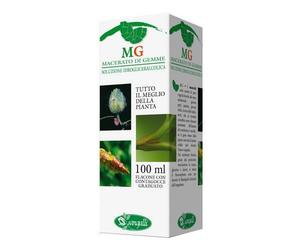 Sangalli Laboratorio Erboristico RIBES MACERATO GLICERICO 100 ML