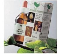 Sangalli Laboratorio Erboristico SANGUINELLO MACERATO GLICERICO 100 ML