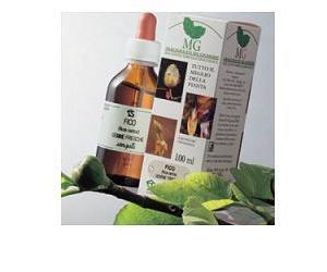 Sangalli macerato glicerico al Ribes nero - Gocce antinfiammatorie e drenanti, 100 ml