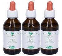 Sangalli Olivo Macerato Glicerico Gocce 100 ml Soluzione orale