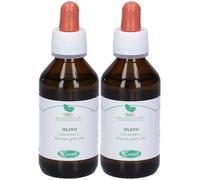 Sangalli Olivo Macerato Glicerico Gocce 2x100 ml Soluzione orale