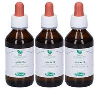 Sangalli Quercia Penducolata Macerato Glicerico Gocce 3x100 ml Soluzio