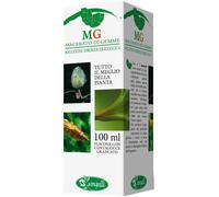 sangalli Ribes 100ml mg