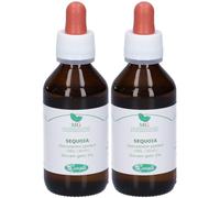 Sangalli Sequoia Macerato Glicerico Gocce 2x100 ml Gocce orali