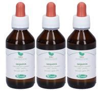 Sangalli Sequoia Macerato Glicerico Gocce 3x100 ml Gocce orali