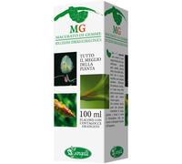 sangalli srl Noce 100ml mg