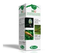 TIGLIO ARGENT 100ML MG