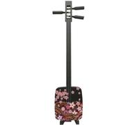 Sangenshi Kikuoka Kojami Sansen Shamisen Japanese Samisen Sakura Flower
