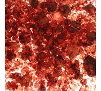 Sangue Di Drago Resina Daemonorops Draco 100 G