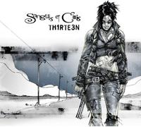 Sanguis et Cinis - Th1rte3n