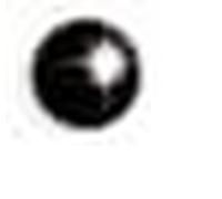 Sanico INVERNESS ORECCHINI IN898C PALLINA NERA