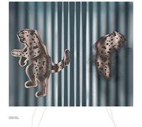 Saniee Kamron - Euphoric Studies (Limited Edt.)