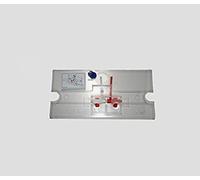 SANIT Placca a cerniera (per cassetta di scarico da incasso, grande apertura di revisione, accessori piastra di azione) 01.952.00.000, bianco