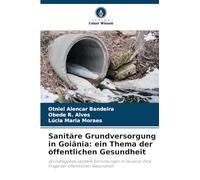 Sanitäre Grundversorgung in Goiânia: ein Thema der öffentlichen Gesundheit: Grundlegende sanitäre Einrichtungen in Goiânia: Eine Frage der öffentlichen Gesundheit