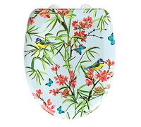 Sanitop-Wingenroth Natura - Sedile WC antibatterico con abbassamento automatico, fissaggio rapido in acciaio INOX