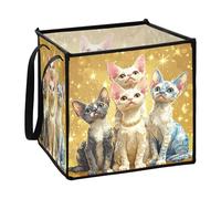 sanluoli Cartoon Cute Devon Rex Cats Realistic Style tessuto cubo cestini di stoccaggio bidoni per panno piccoli cestini per organizzare 33x33x13 In