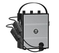 SANMIC Amplificatore vocale da 50 W con 2 microfoni, microfono con altoparlante