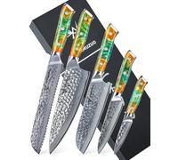SANMUZUO 5 Pezzi Set Di Coltelli Da Cucina Professionale - Forgiato 67 Strati Damasco in Acciaio e Resina Maniglia - Serie YAO