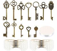 SANNIX 48 chiavi scheletro in bronzo chiave vintage decorazione volanti ciondoli con 50 paia di ali di libellula e cordino elastico in cristallo da 30 m per decorazione della camera