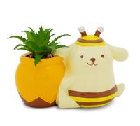 Sanrio Pompompurin Honey Pot Ceramica Mini Fioriera Con Artificiale Succulente