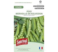 Sanrival Pois Meravigliosi di Kelvedon