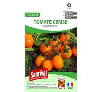 Sanrival Pomodoro ciliegia Giallo