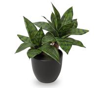 Sansevieria - Pianta artificiale a 2 teste per piante artificiali, piccole piante artificiali, per casa, scrivania, bagno, camera da letto, soggiorno, altezza 30 cm