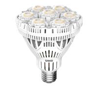 SANSI Lampadina LED 30W/40W Proiettore per luce diurna 5000K Energia efficiente [EEK: D]