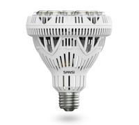 SANSI Lampadina LED 30W/40W Proiettore per luce diurna 5000K Energia efficiente [EEK: D]