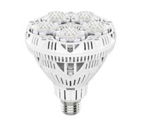 SANSI Lampadina LED per Piante Spettro Completo Luce Giornaliera 10W, 24W, 36W [EEK: A]