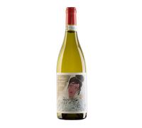 SANTA BARBARA VERDICCHIO MARCHE IGT TARDIVO MA NON TARDO 2021 0,75 L
