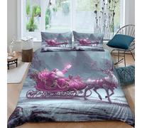 Santa Claus sleighcopripiumino ultra microfibra 3 pezzi motivo 3D con cerniera fantasy winter scene Set Di Copripiumino con federe per cuscini traspirante for bambini e adolescenti King（220x240cm）