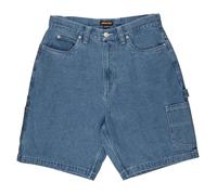 SANTA CRUZ CARPENTER BIG SHORTS