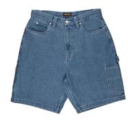 SANTA CRUZ CARPENTER BIG SHORTS 32