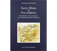 Santa Maria di Vallombrosa. Patrimonio e vita economica di un grande monastero medievale
